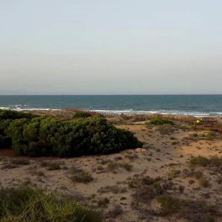 Apartamento Playa Arenales Del Sol 아파트 외부 사진