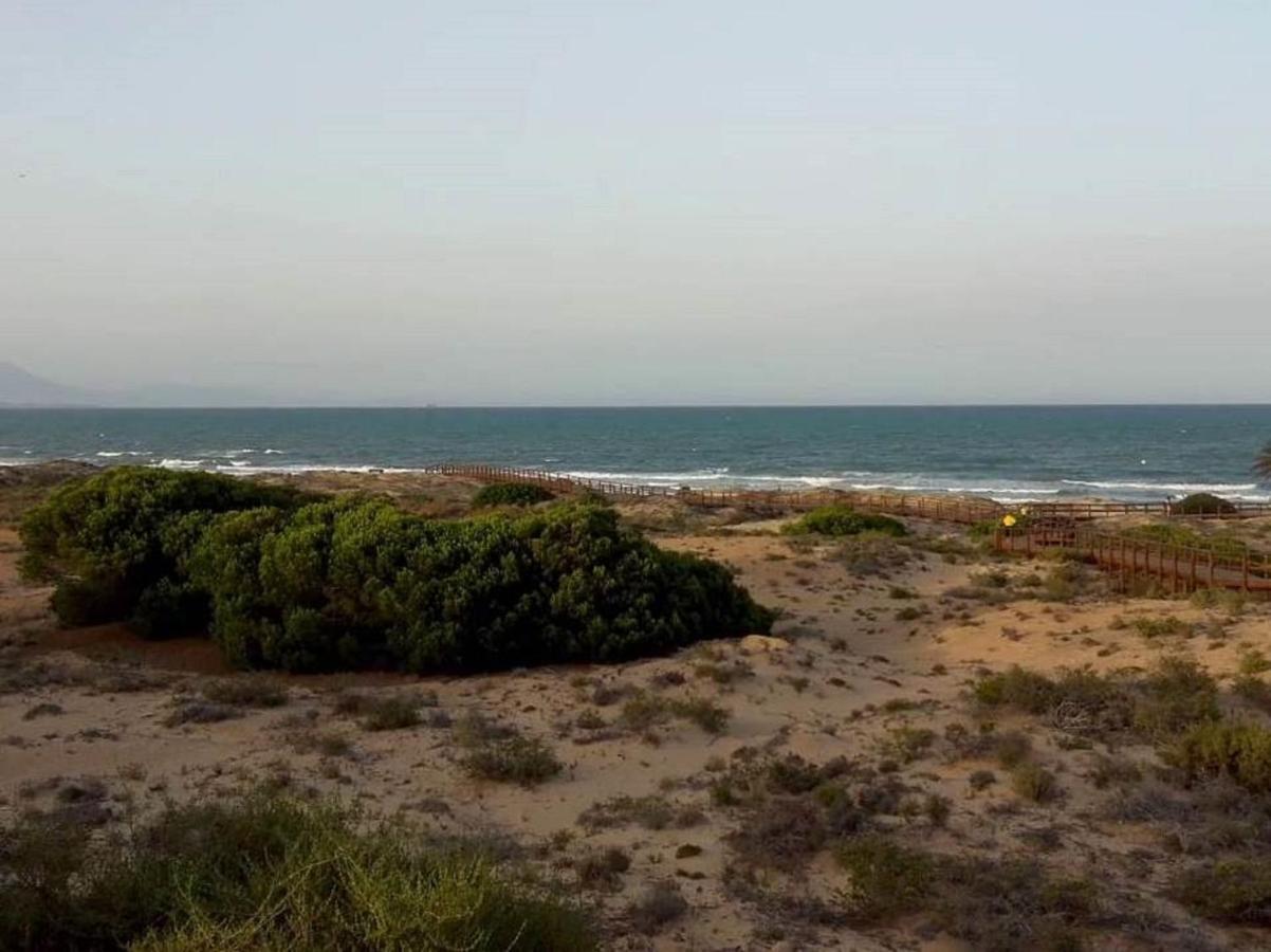 Apartamento Playa Arenales Del Sol 아파트 외부 사진